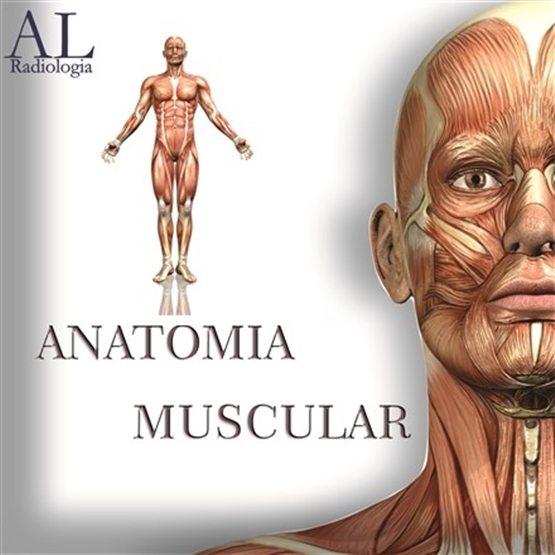 ANATOMIA MUSCULAR