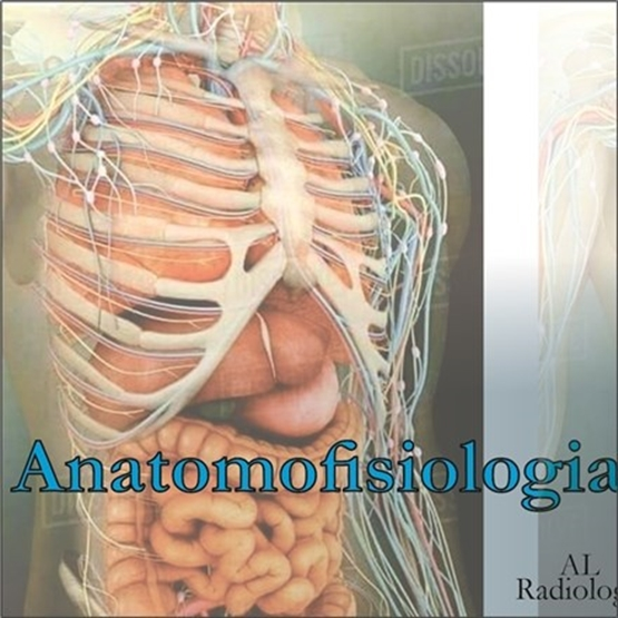 Anatomia dos sistemas